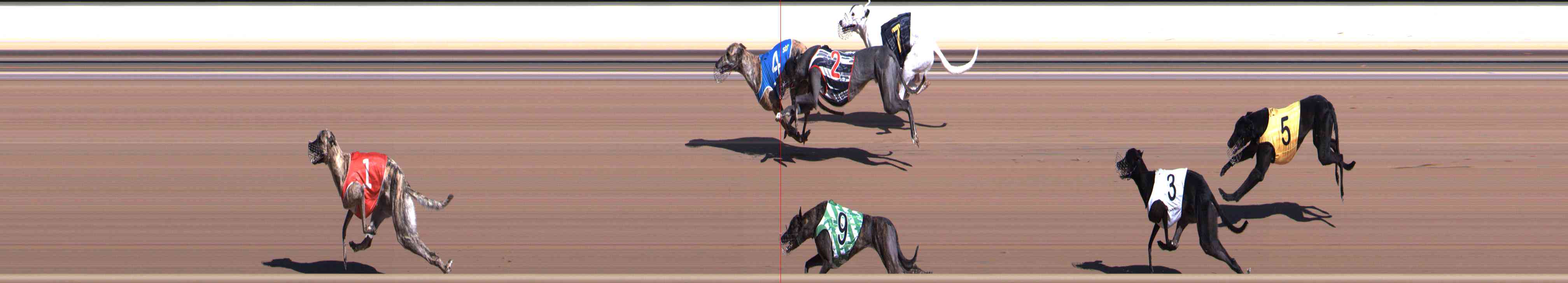 Race result finish photo